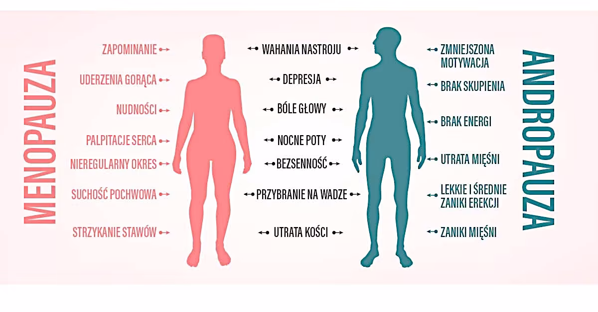 menopauza vs andropauza