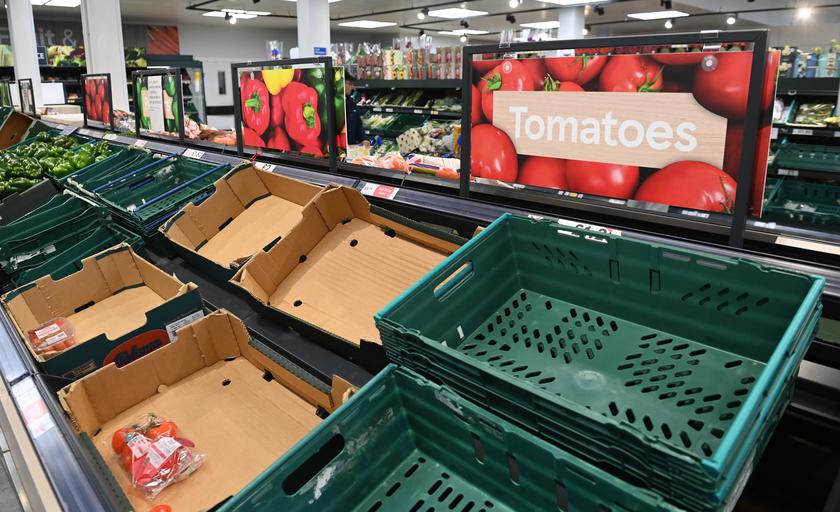 Limity na warzywa w supermarketach w Wielkiej Brytanii – maksymalnie trzy sztuki na osobę