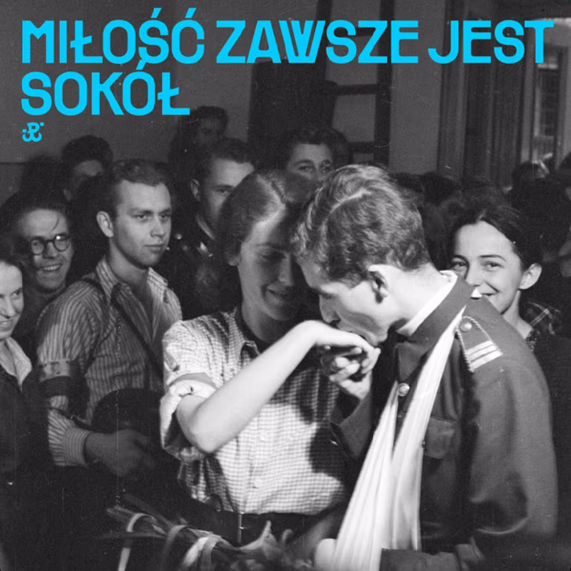 Sokol Milosc zawsze jest