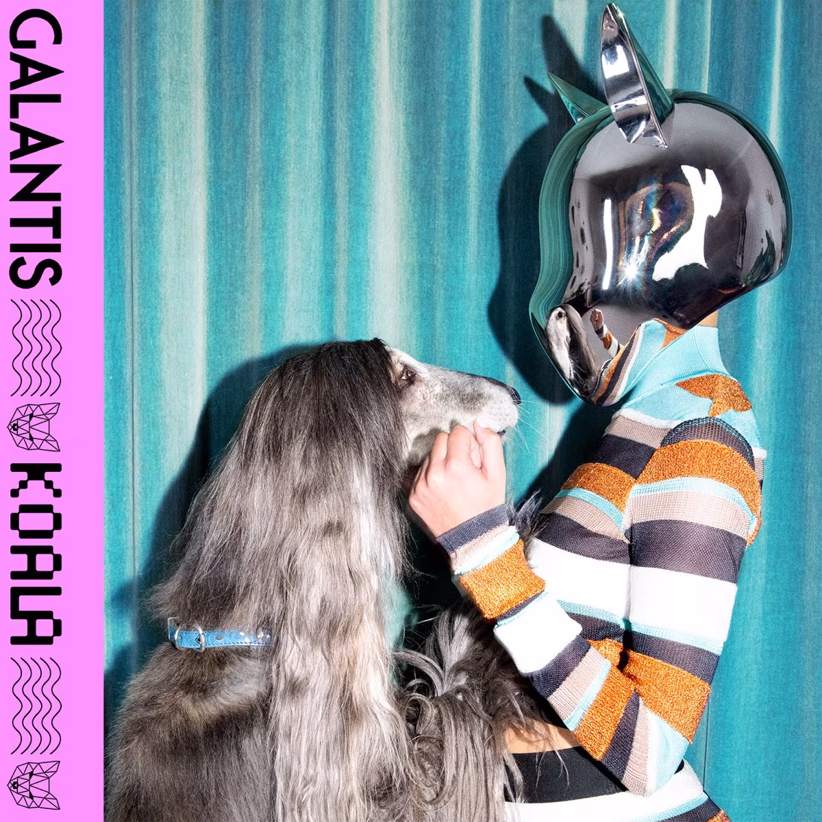 Galantis Koala