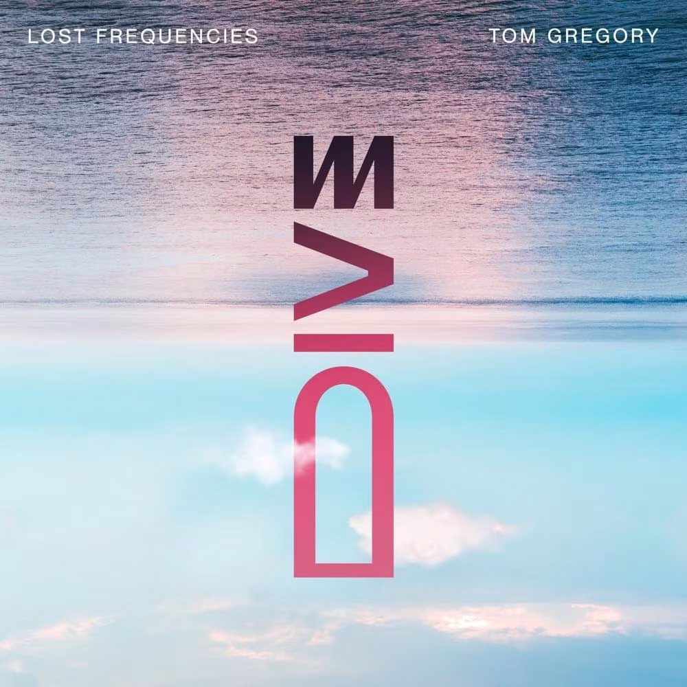 Lost Frequencies Tom Gregory Dive