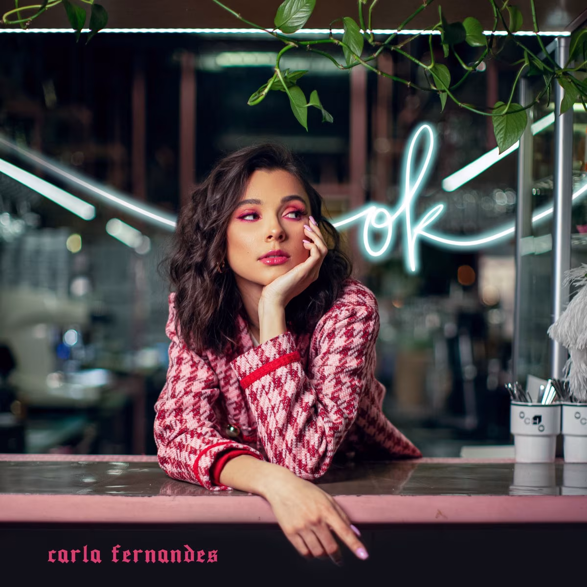 carla fernandes ok